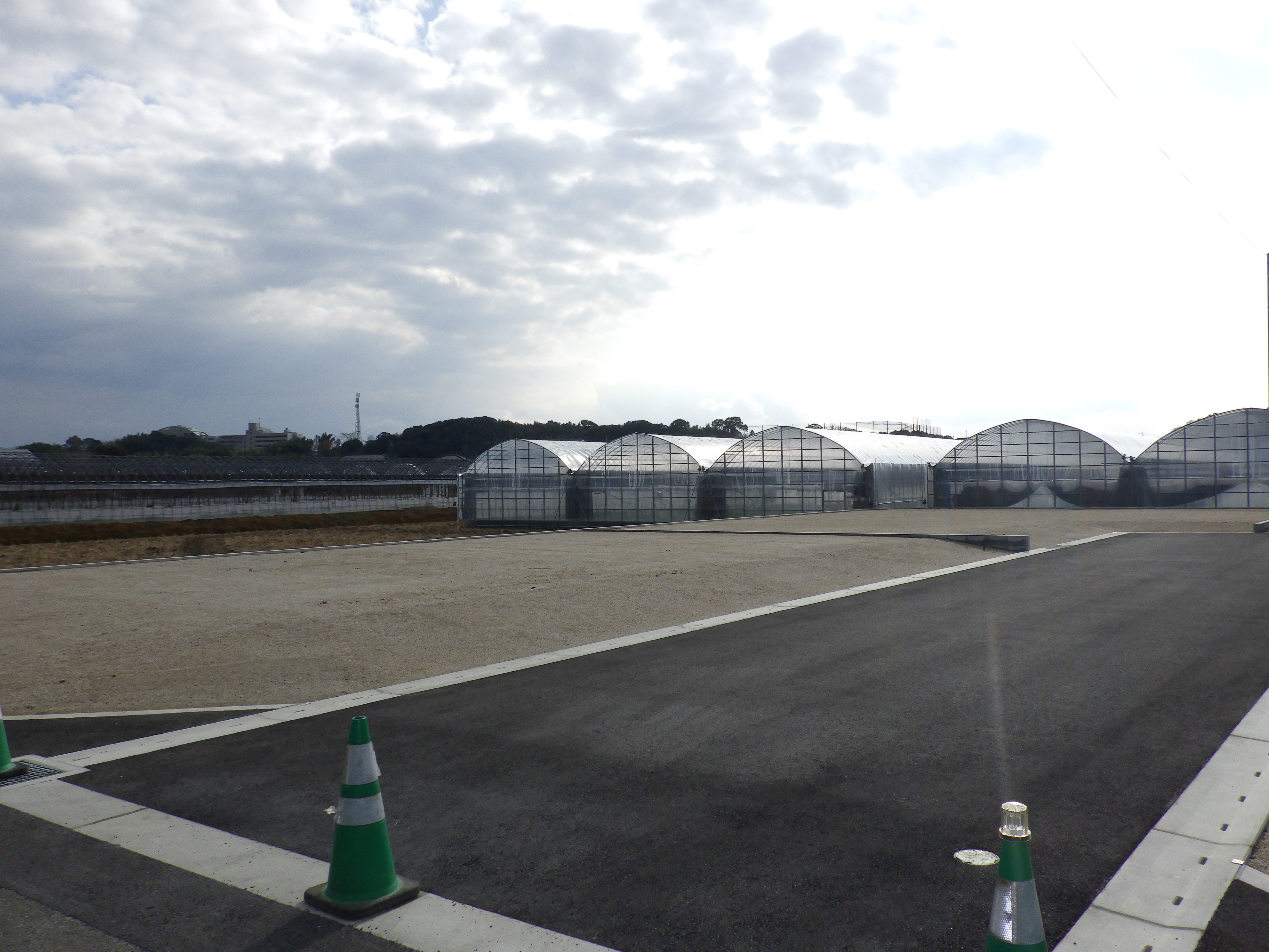 新代4区画分譲地 - 画像8