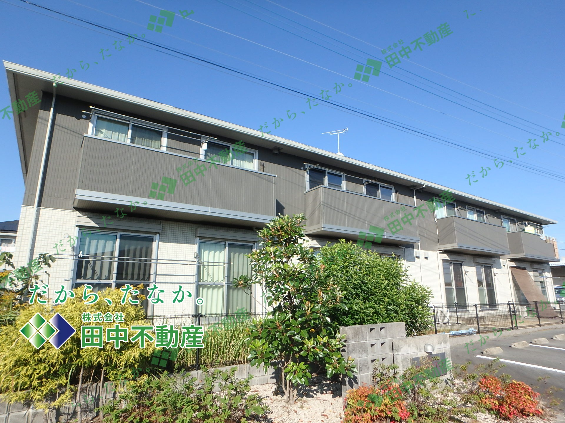 レスペート B棟203