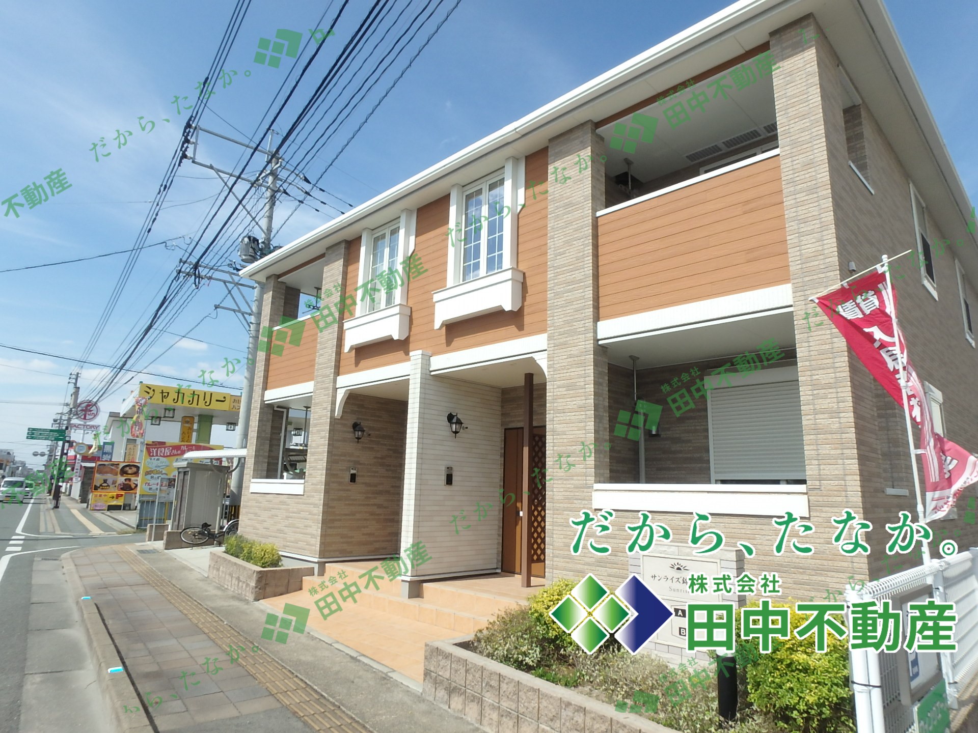 サンライズ錦B101