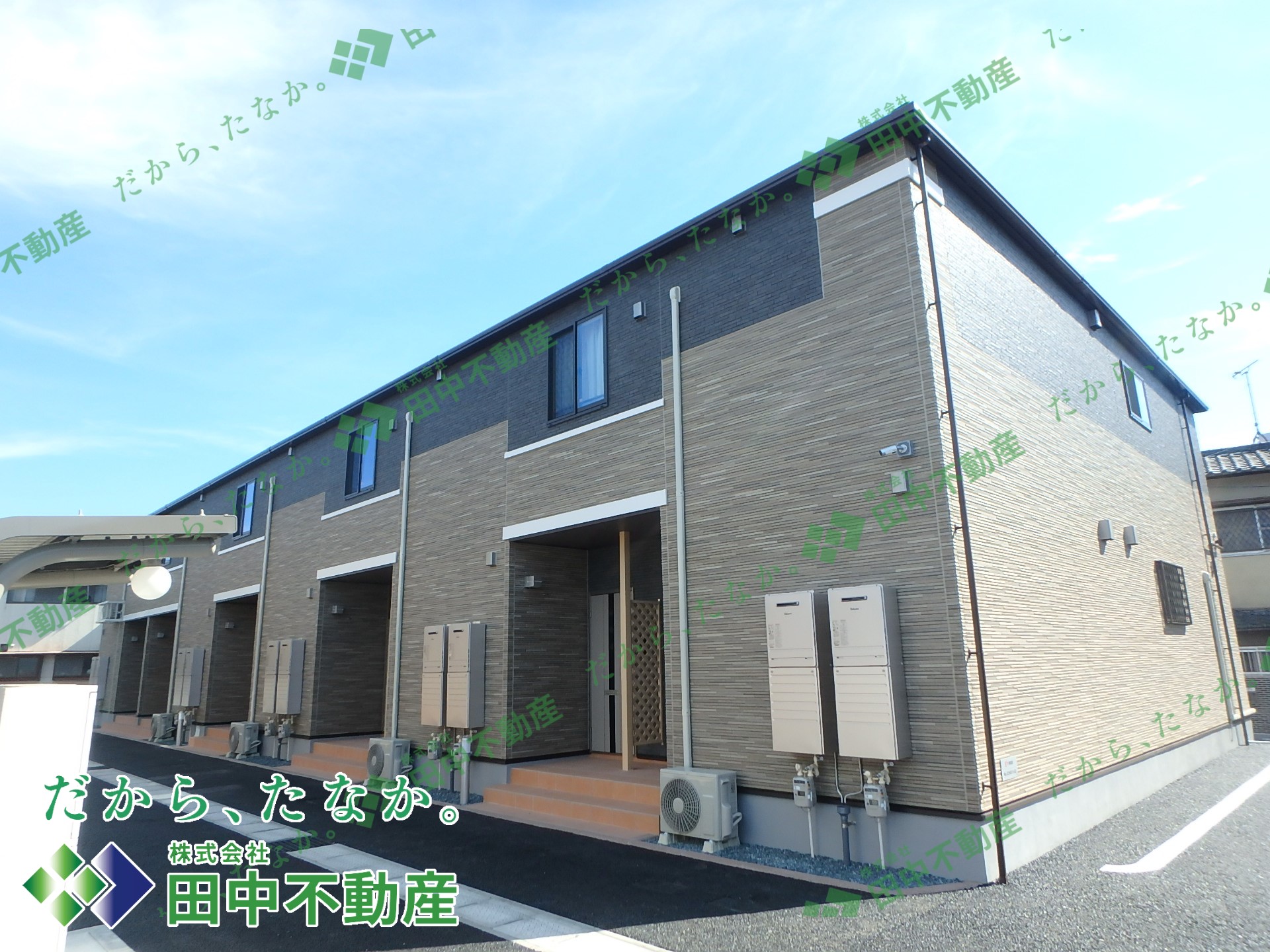 フランフラワーB202