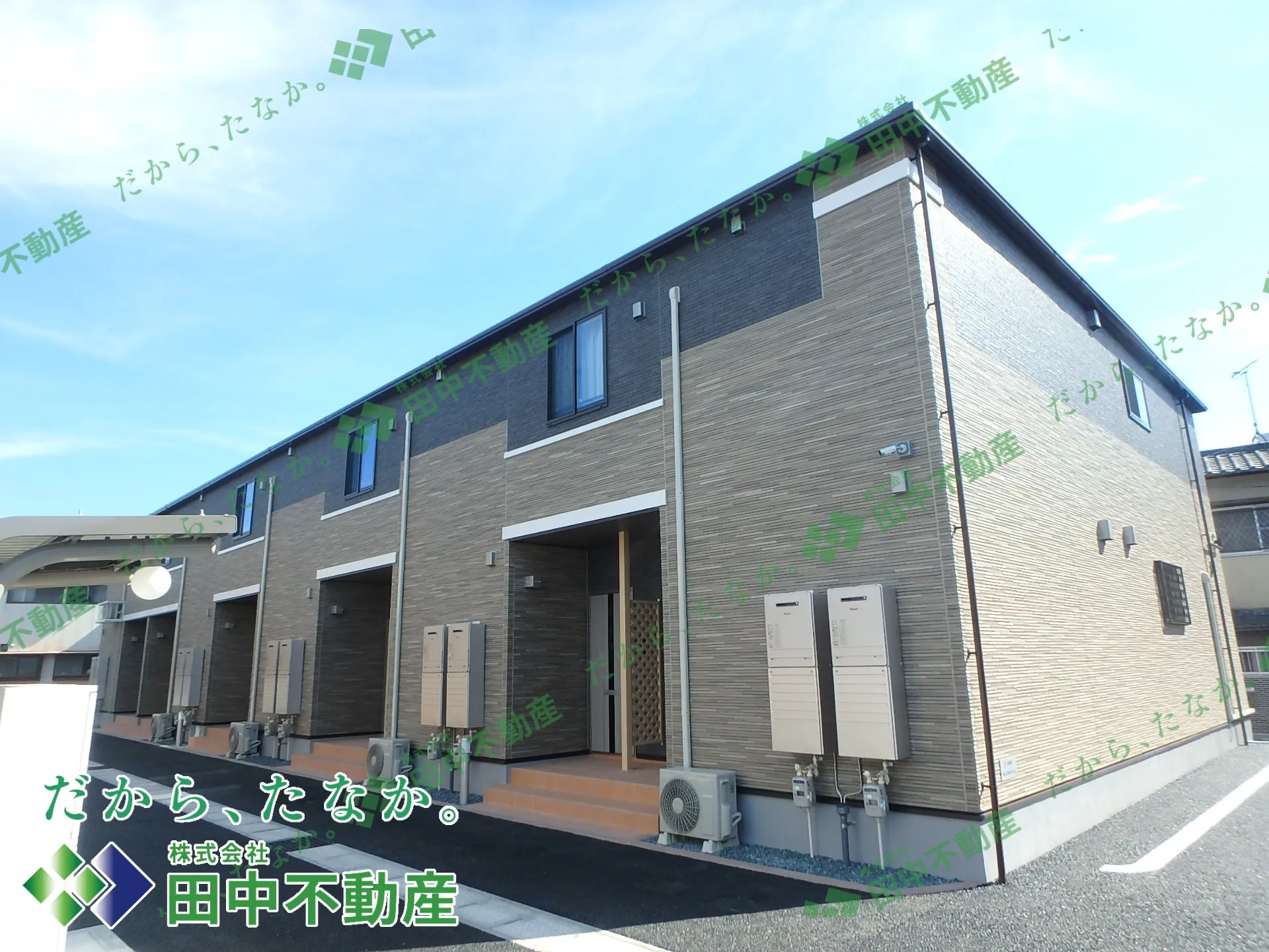 フランフラワーB201