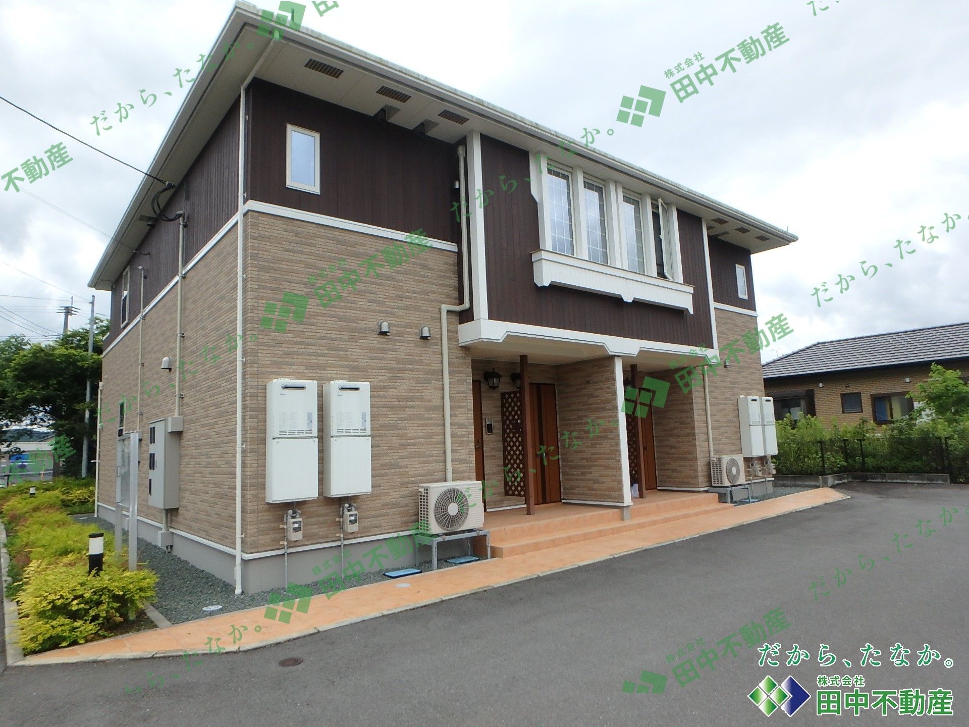 プラシード・プリムラB102