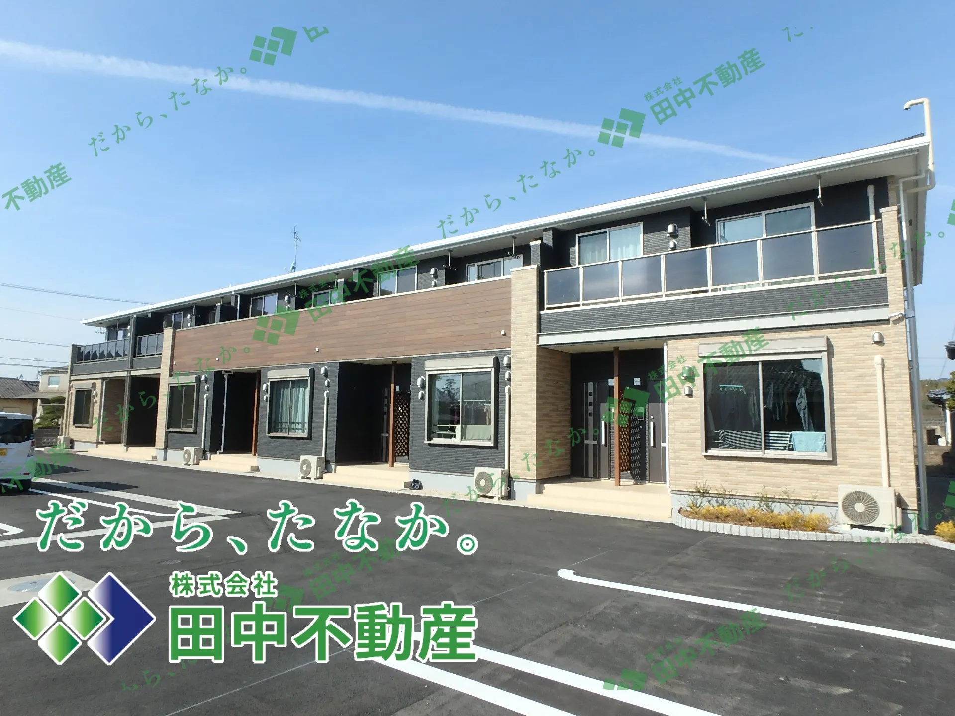 プラシード.フェリーチェ202