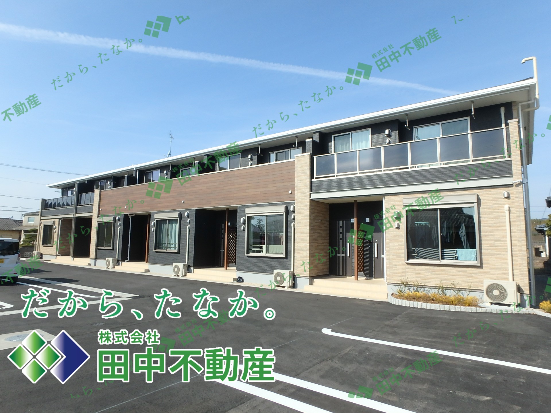 プラシード.フェリーチェ204