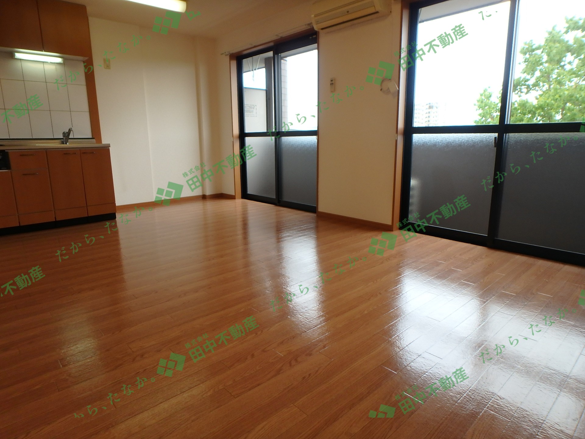 And you206 - 画像3