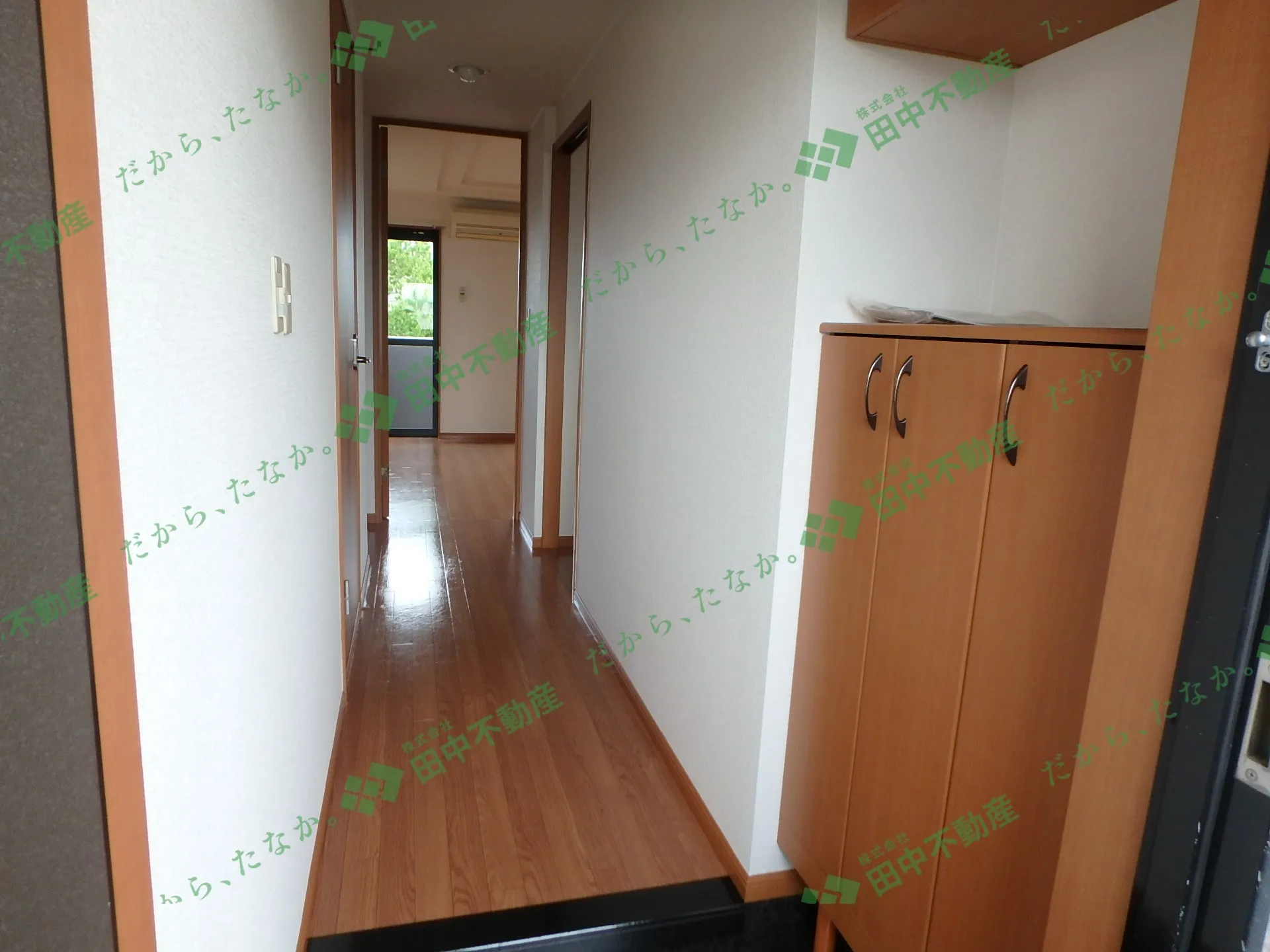 And you206 - 画像12