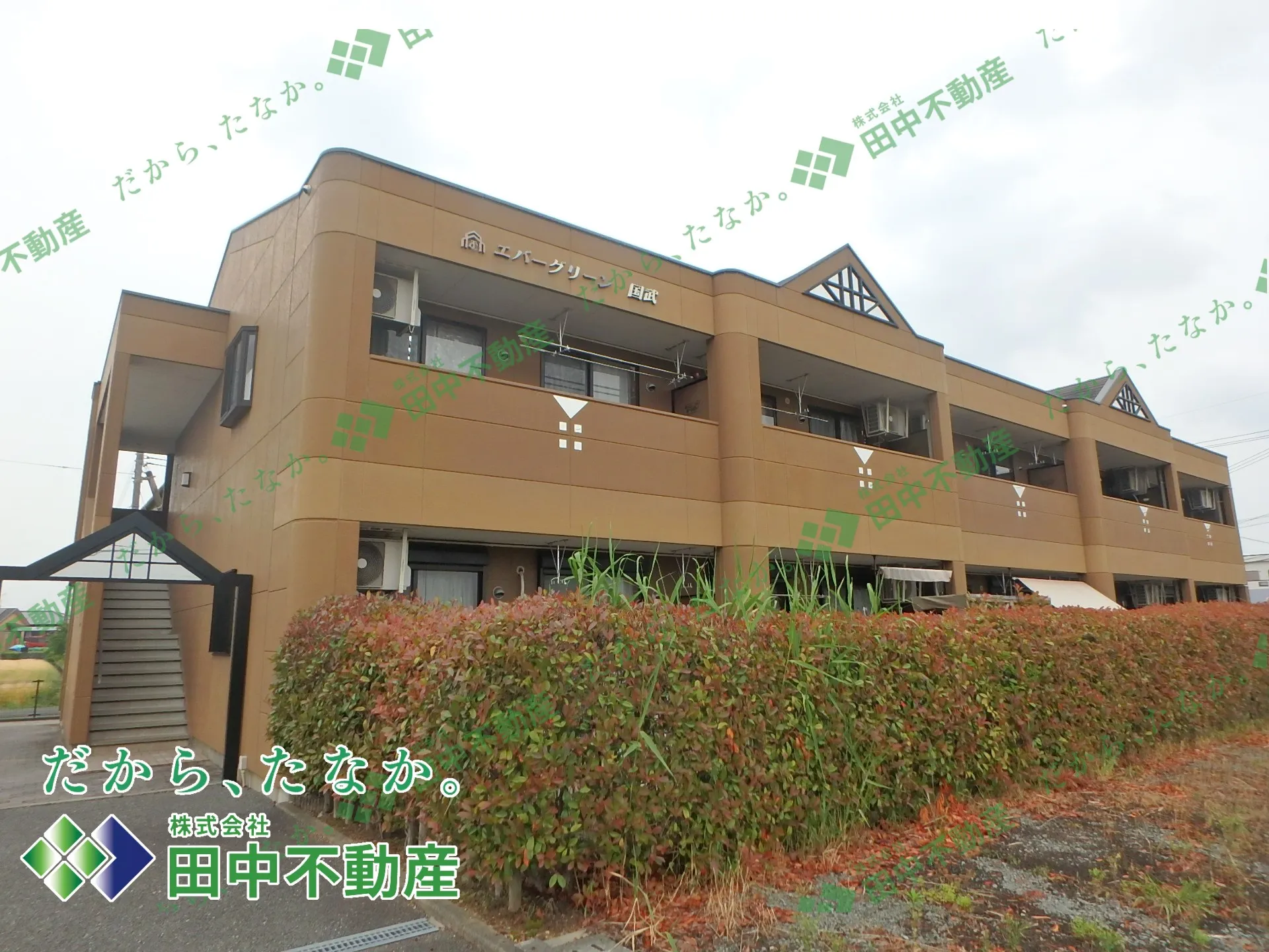 エバーグリーン国武101