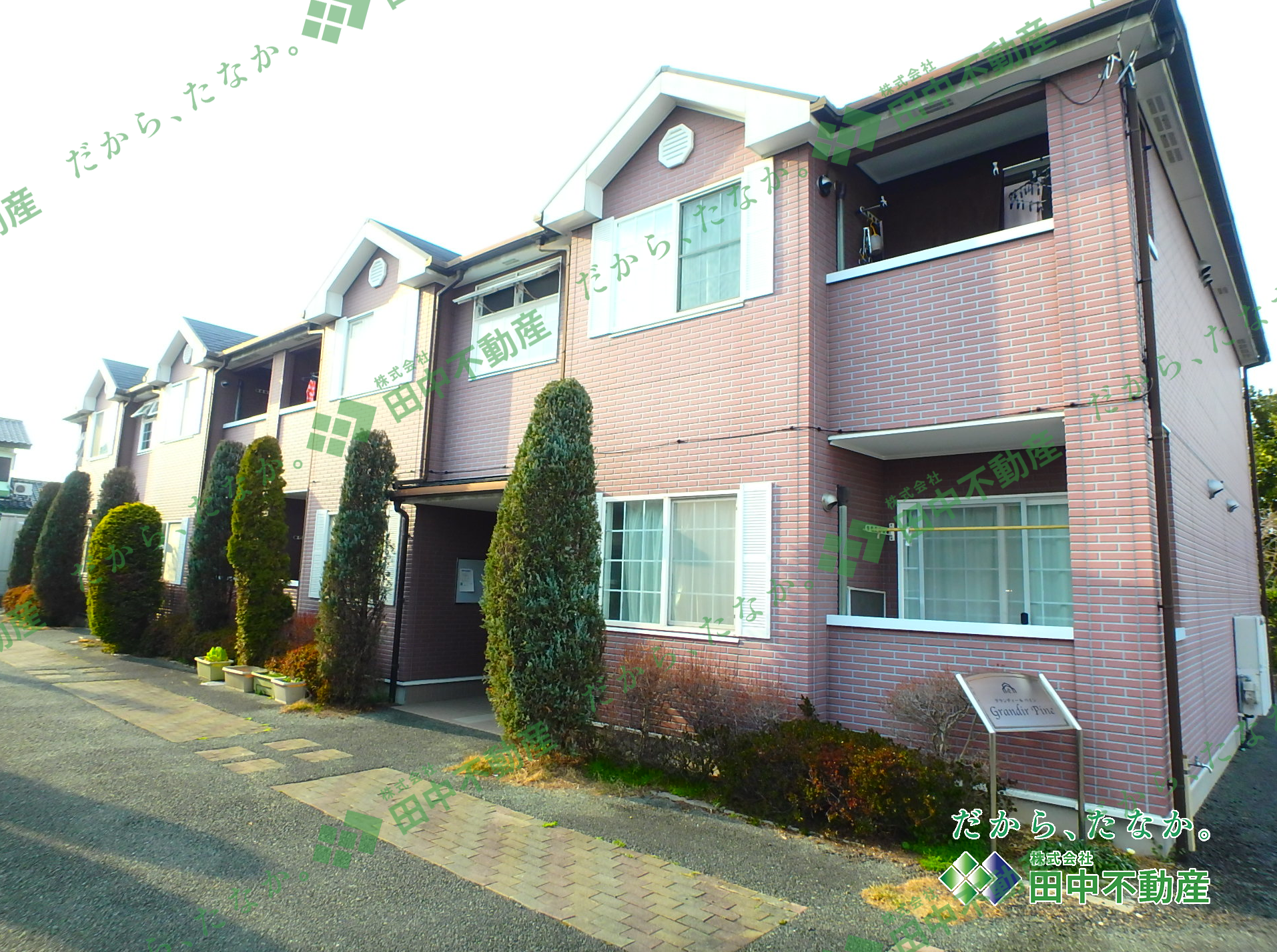 グランディール パイン205