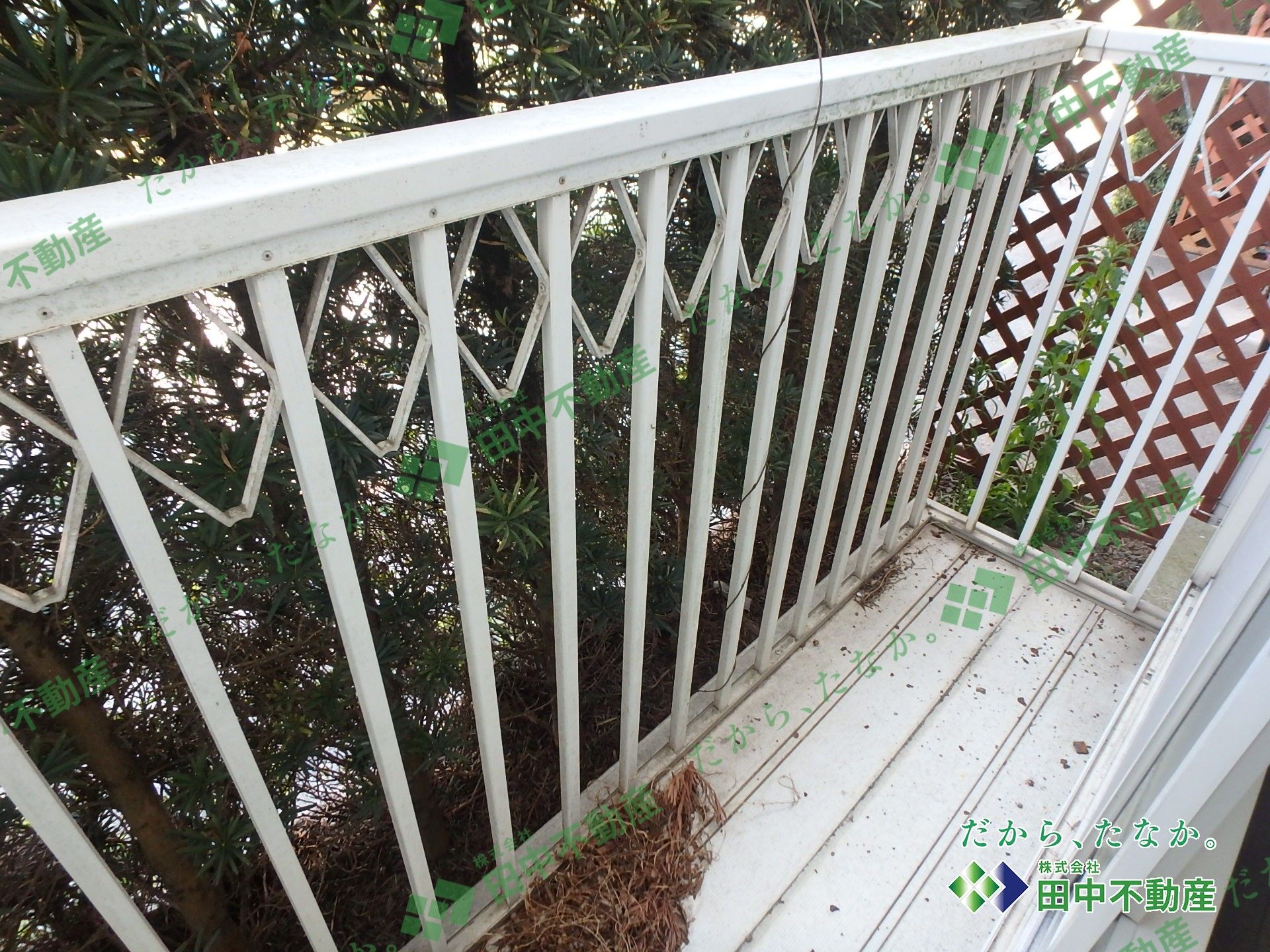 メゾンラフォーレ E - 画像12