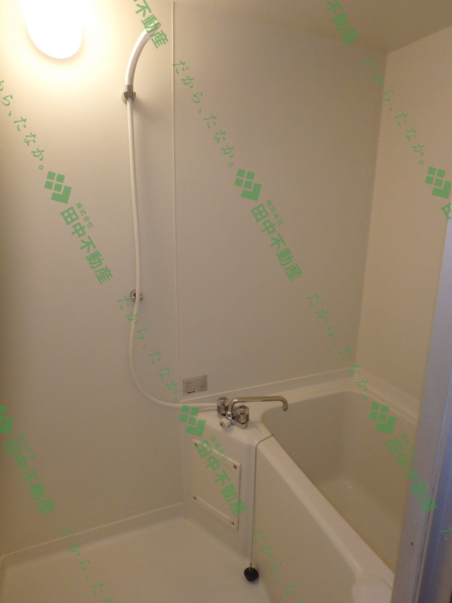 スワーム新代 - 画像7