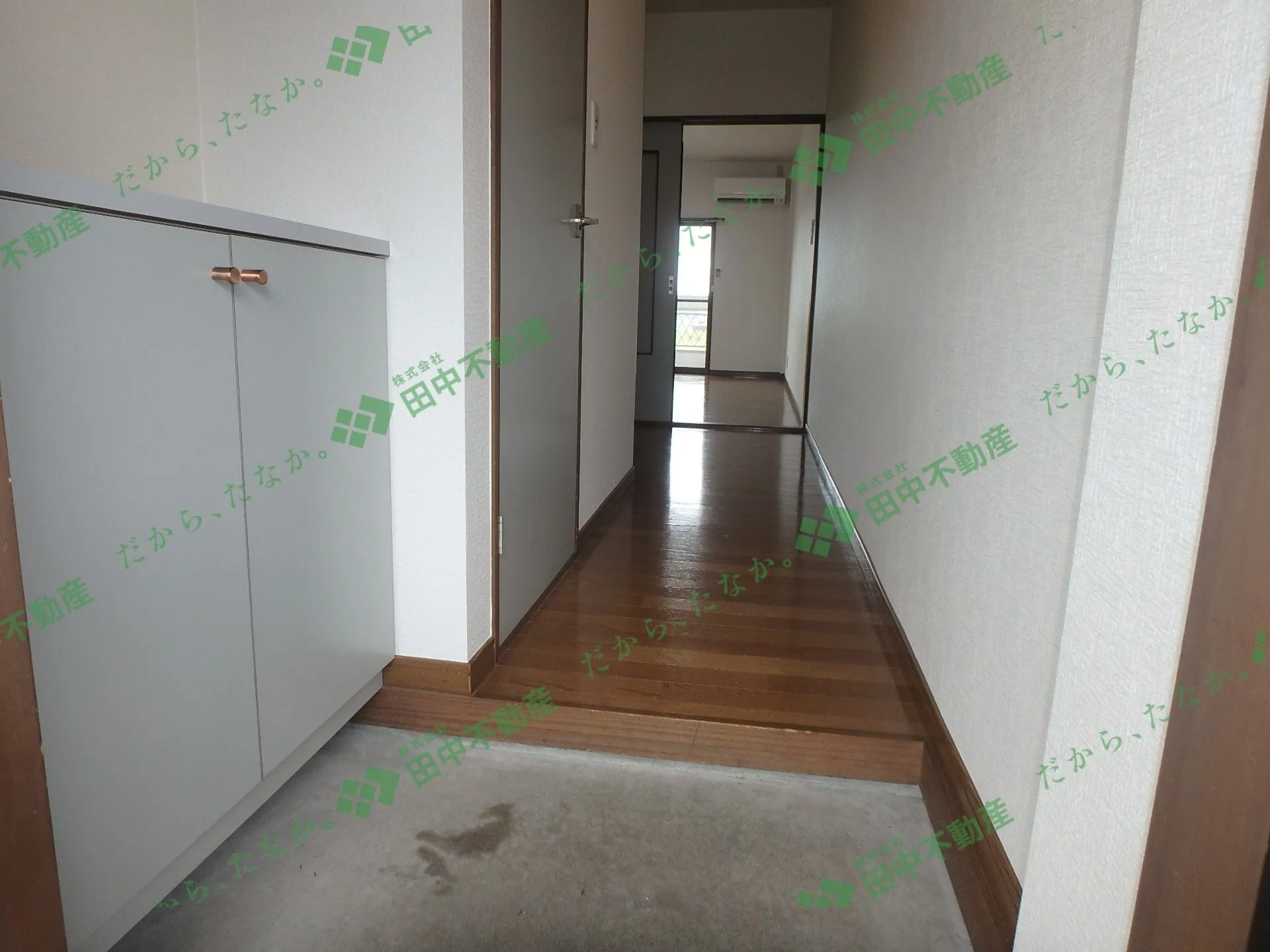 スワーム新代 - 画像11