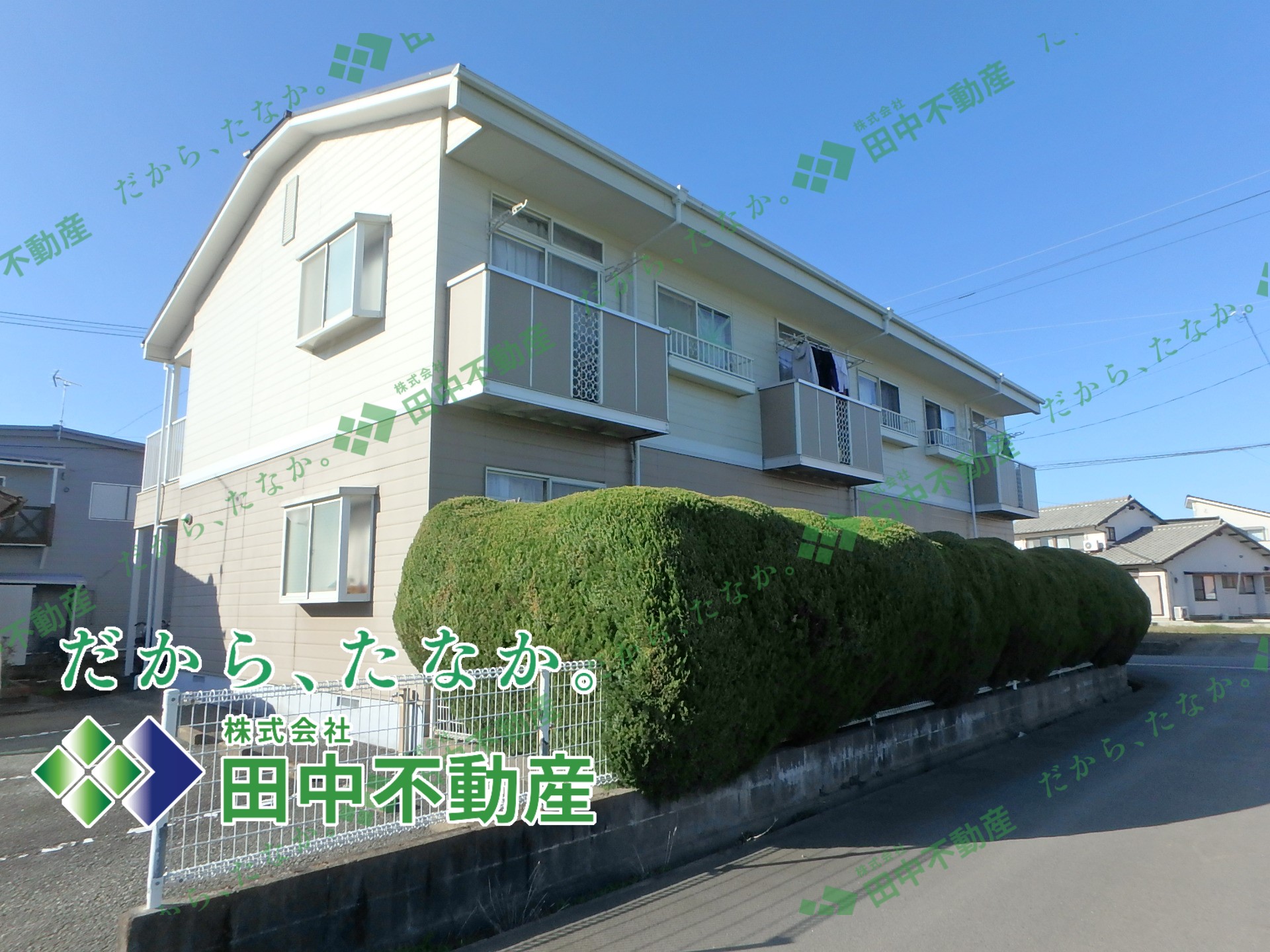 リベラル山下202