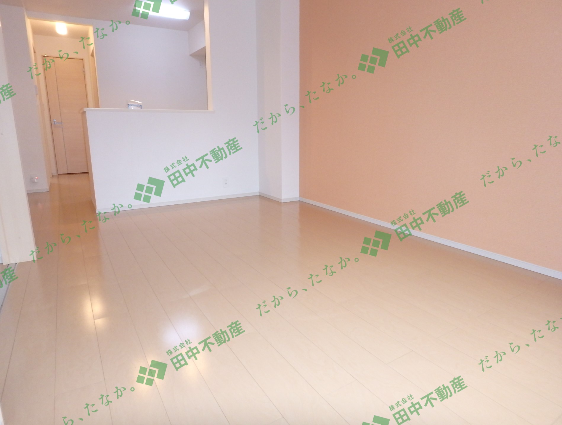 ルート3＆M・YⅥ201 - 画像3