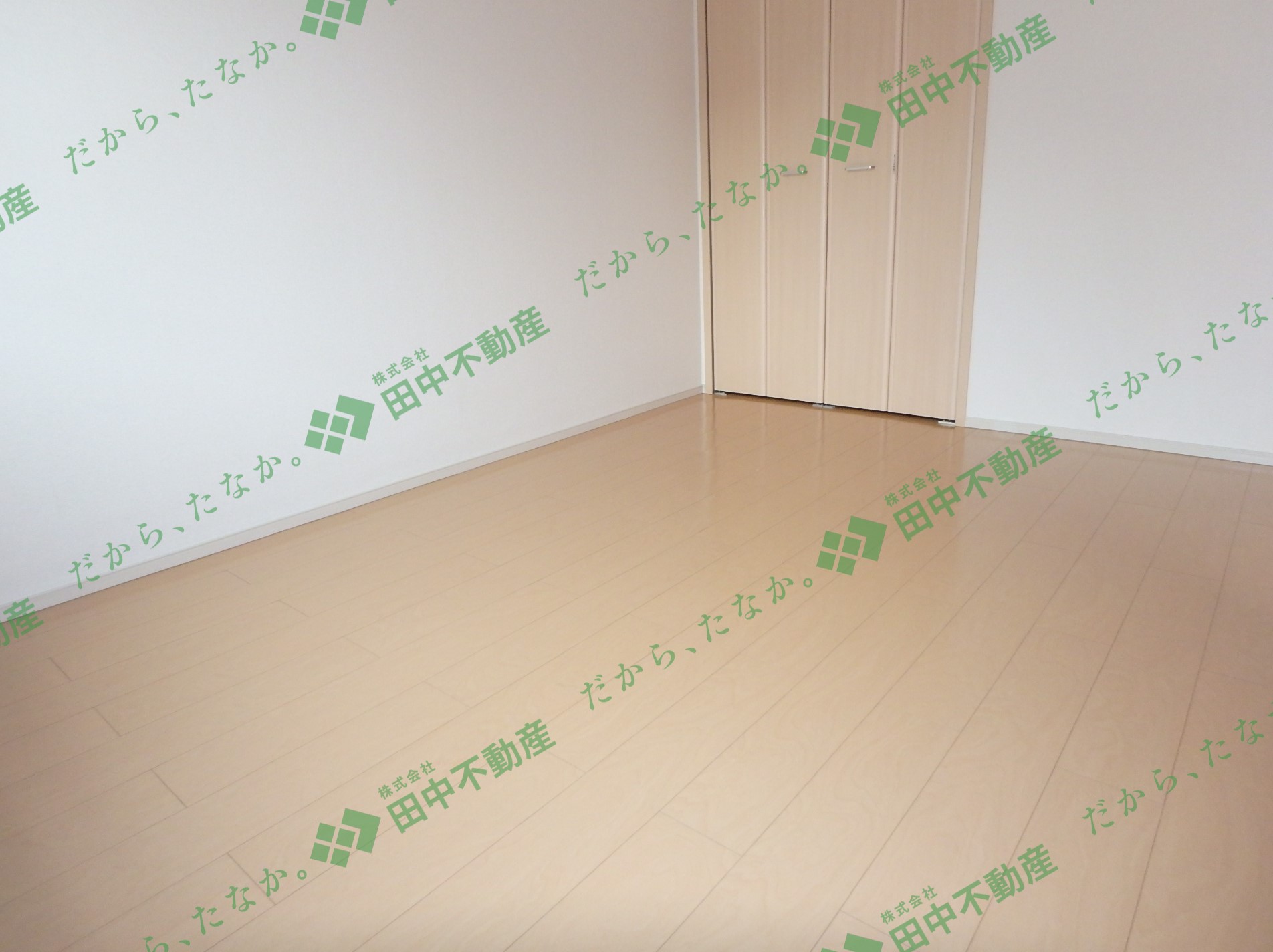 ルート3＆M・YⅥ201 - 画像4