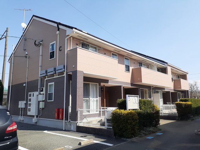 プリムローズC101