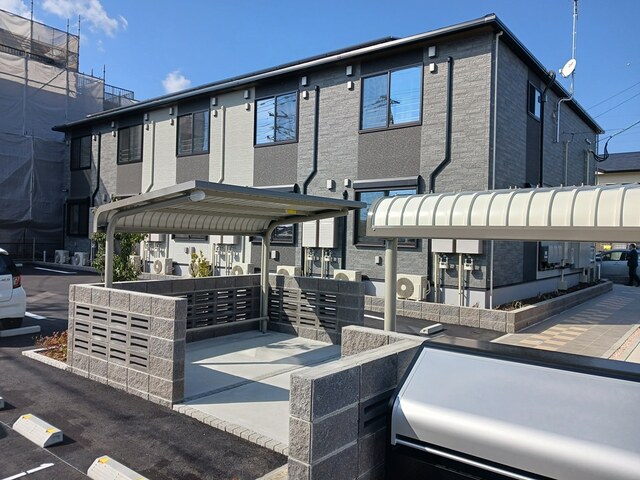 KK クリザンテーモ204