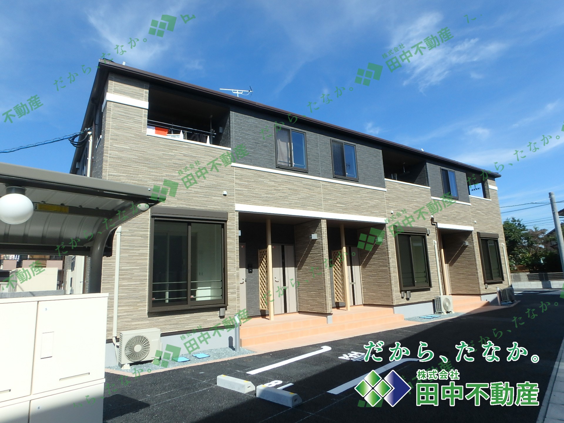 フランフラワーA202