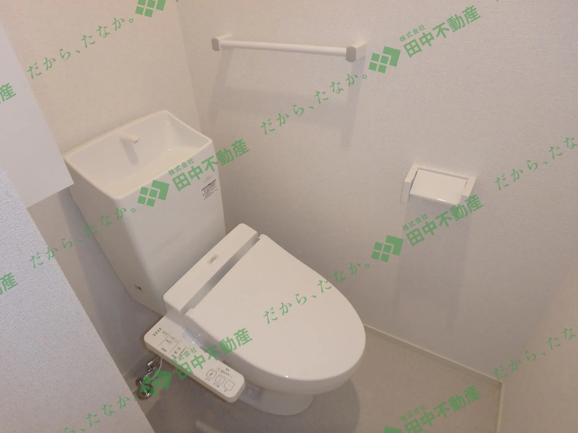 フローリッシュB102 - 画像11