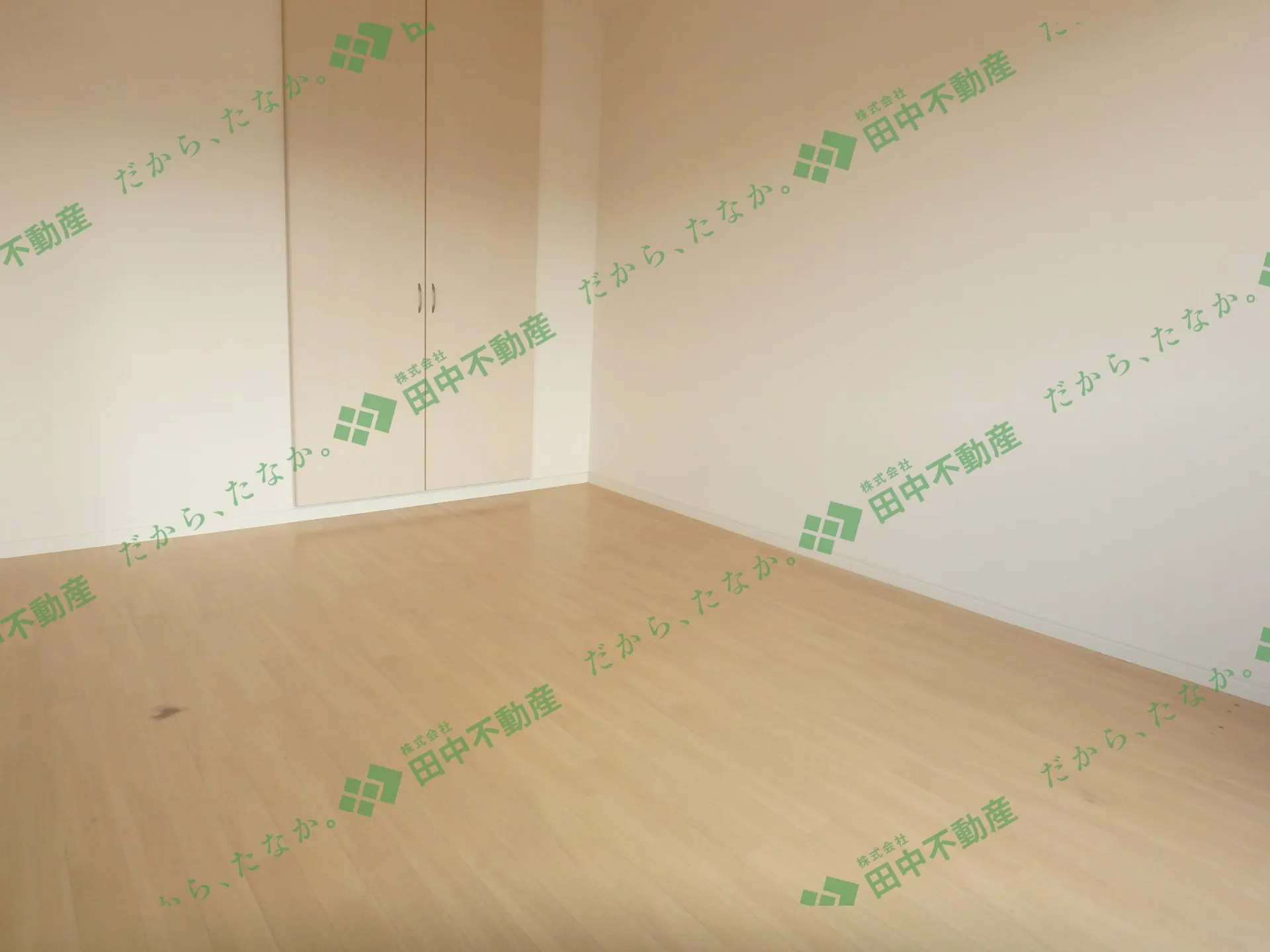 フェリーチェⅡ 202 - 画像4