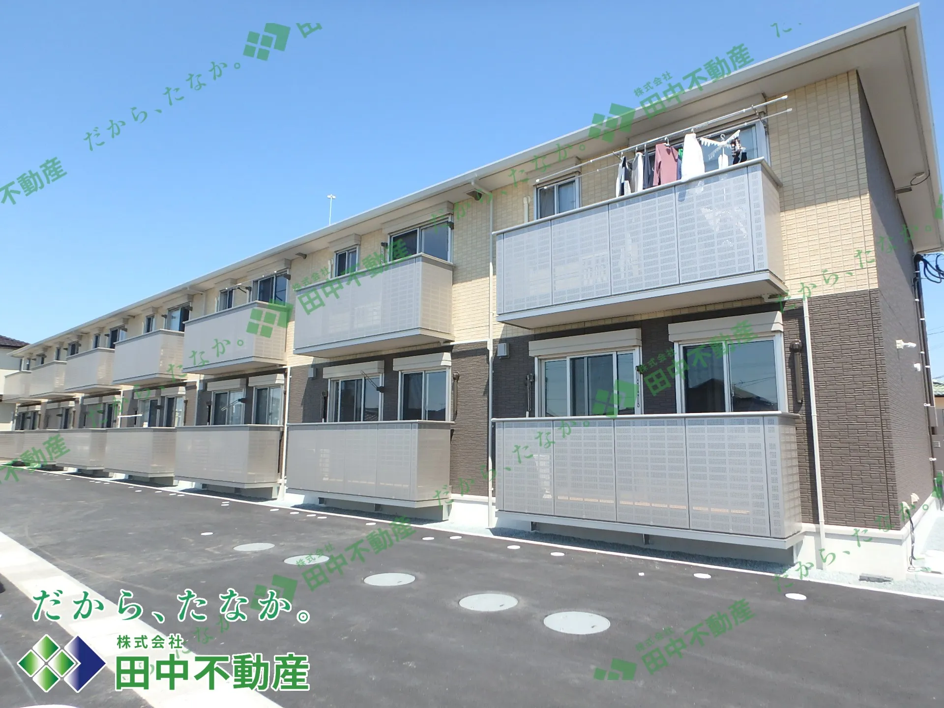 マハロ202