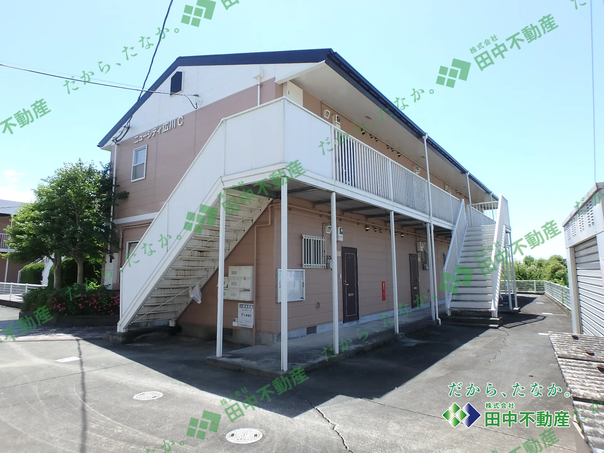 ニューシティ広川C203