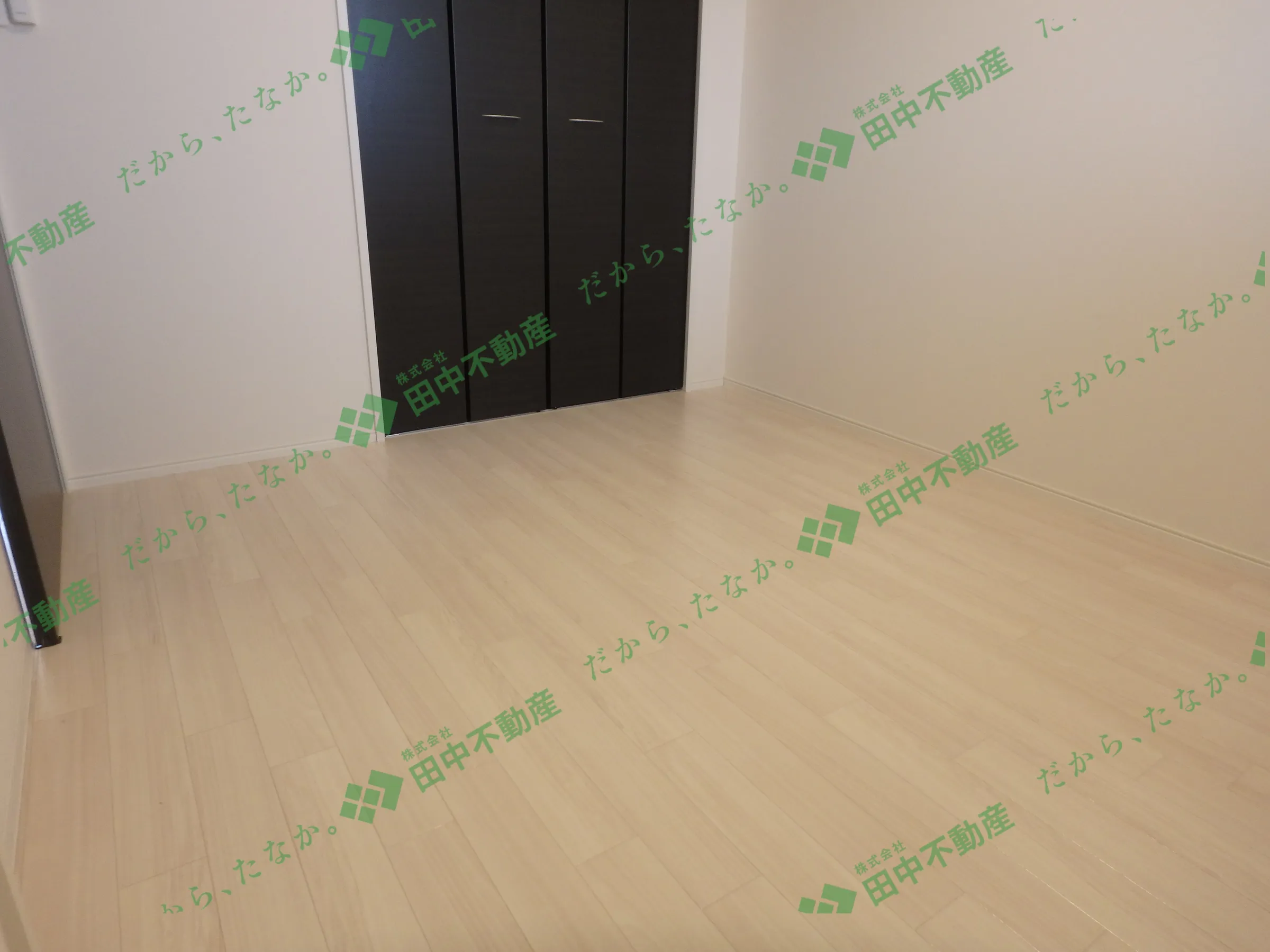 sun fit108 - 画像4