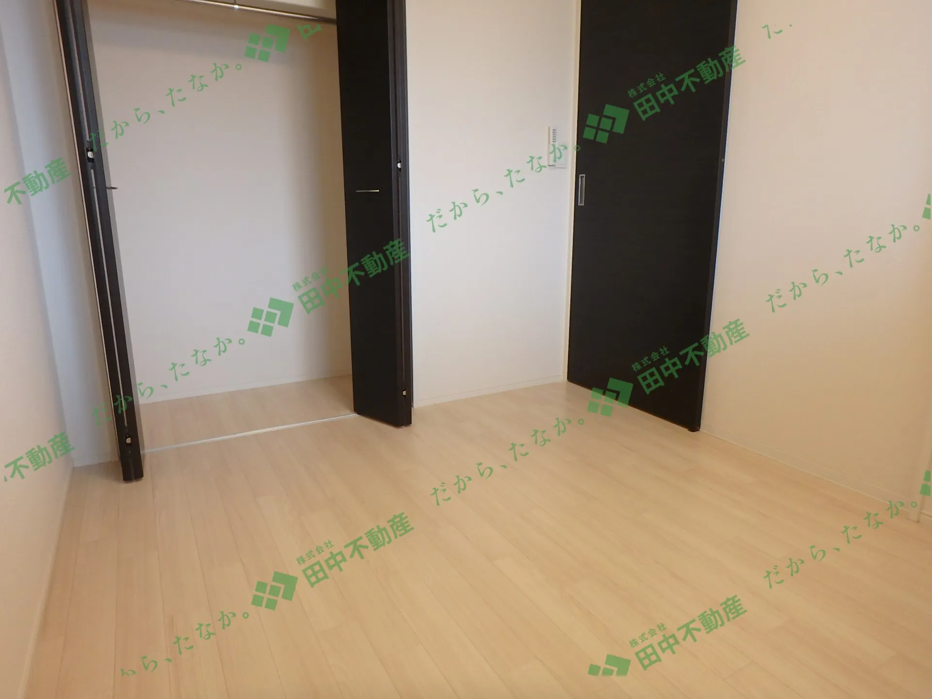 sun fit205 - 画像5