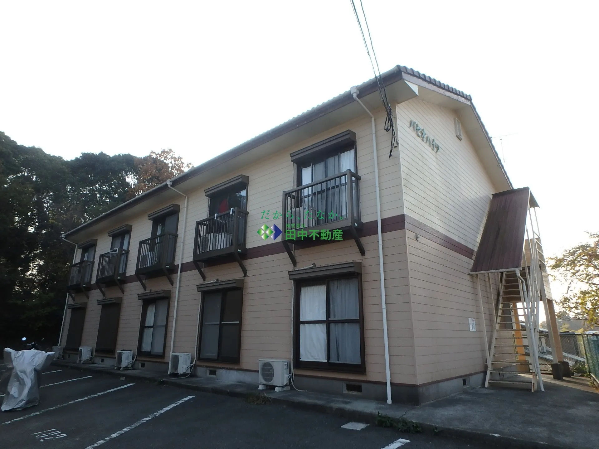 パセオハイツ203