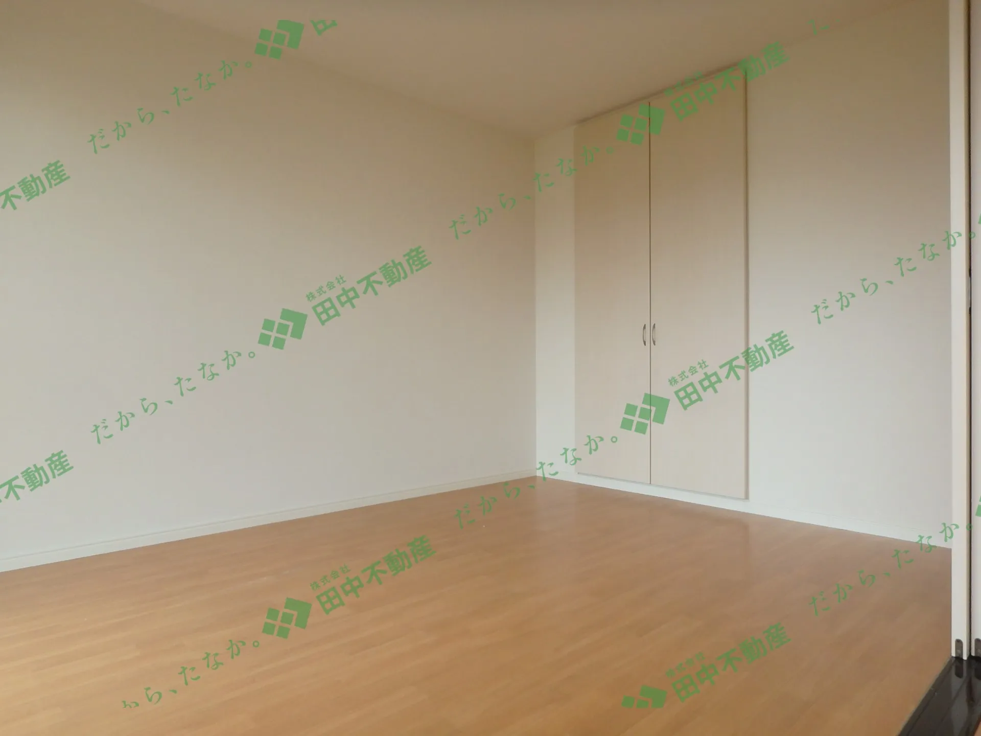MICHIO102 - 画像5