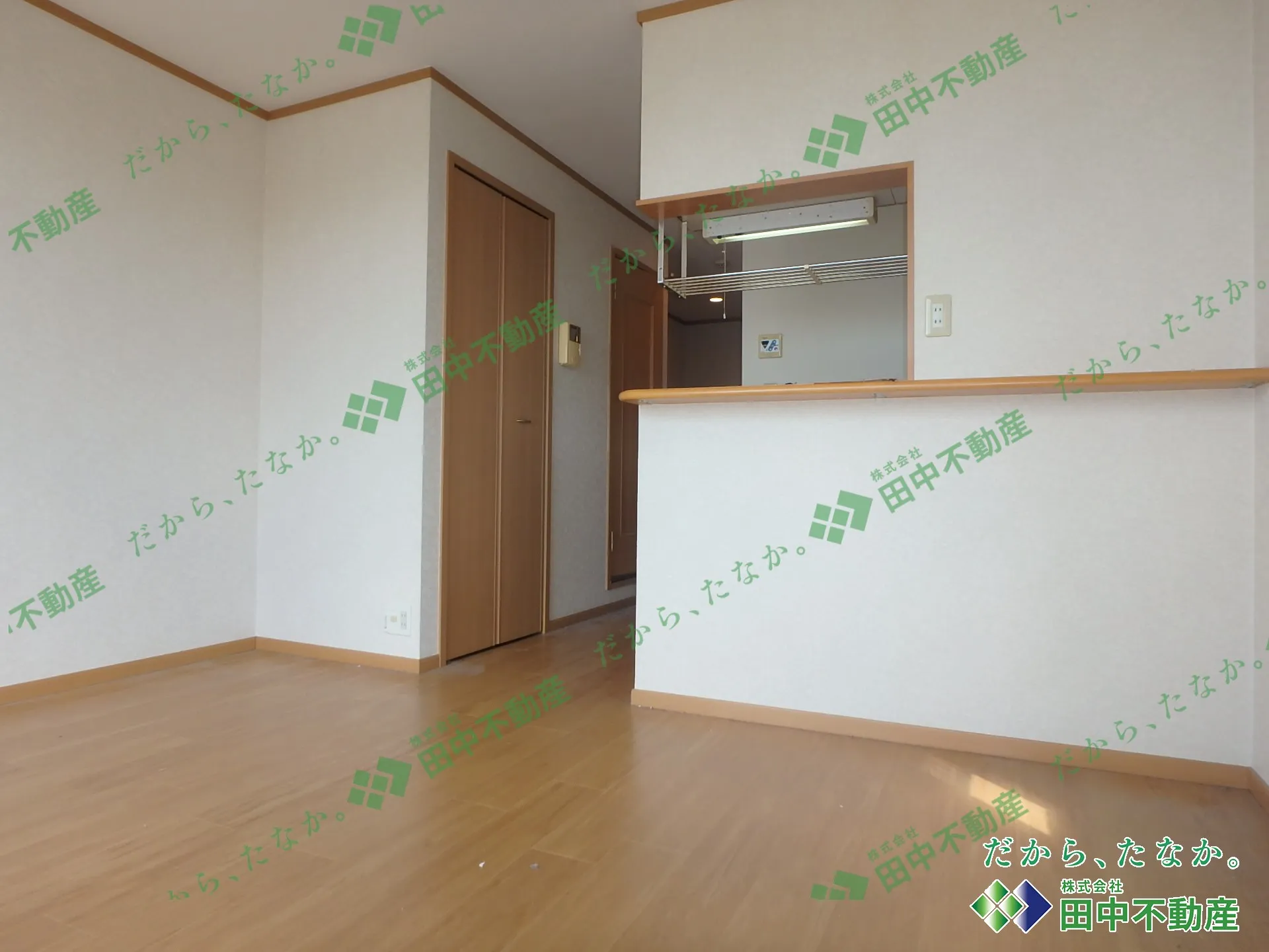 プロスペールDPB202 - 画像3