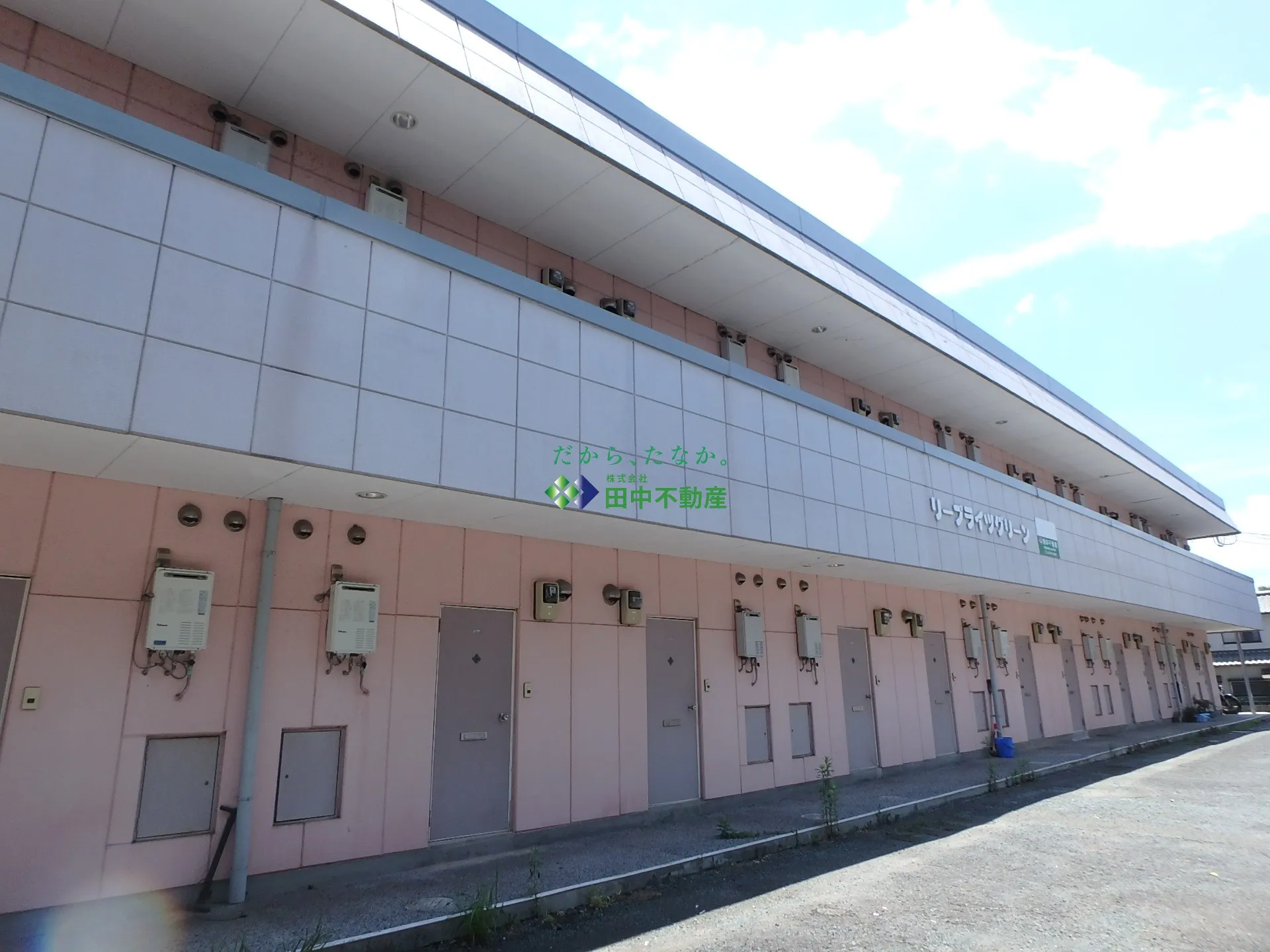 リープライツグリーン6号