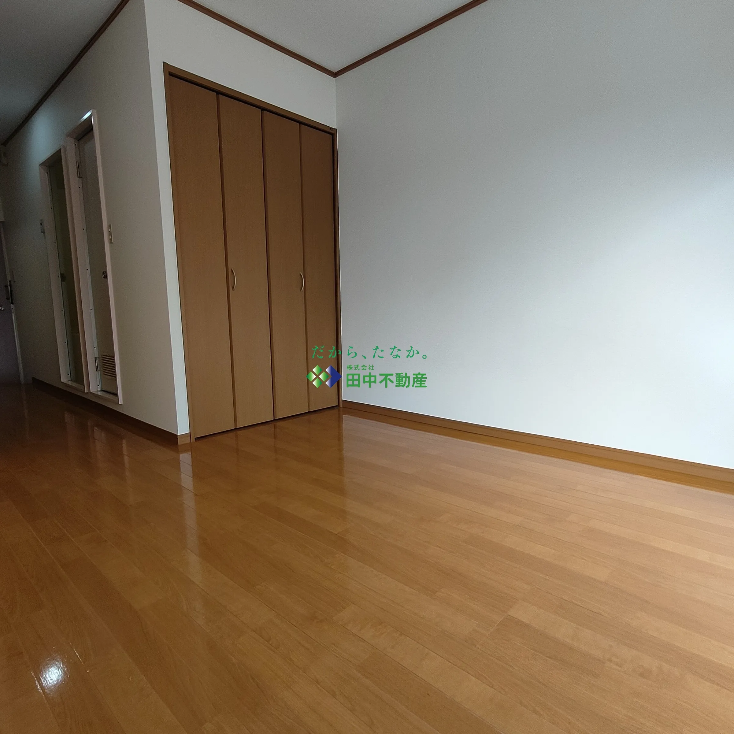 リープライツグリーン6号 - 画像4
